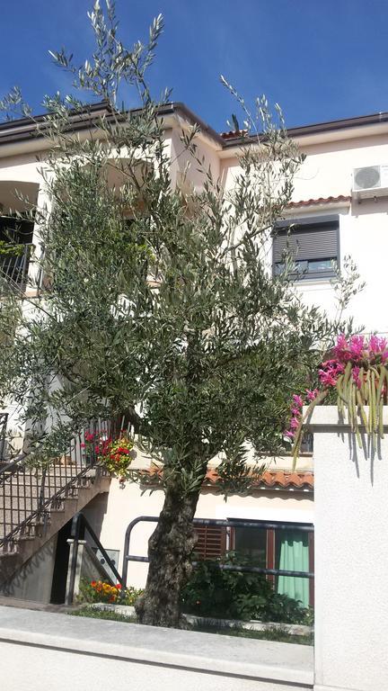 Apartment Ljubica Върсар Екстериор снимка