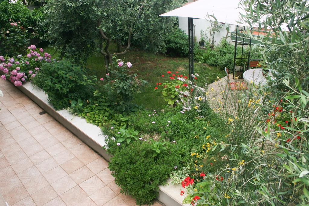 Apartment Ljubica Върсар Екстериор снимка